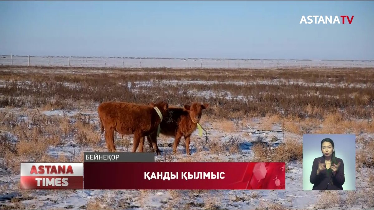 Атырау облысының тұрғыны танысын бауыздап тастаған