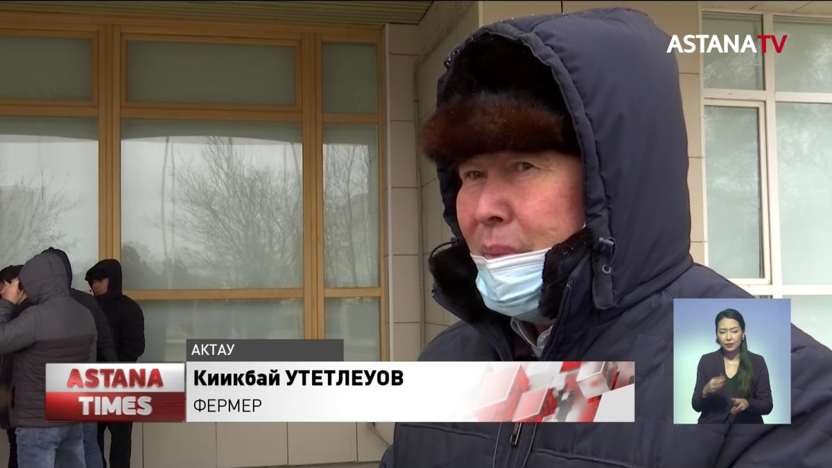 Мангистауские фермеры требуют снизить цену на корма