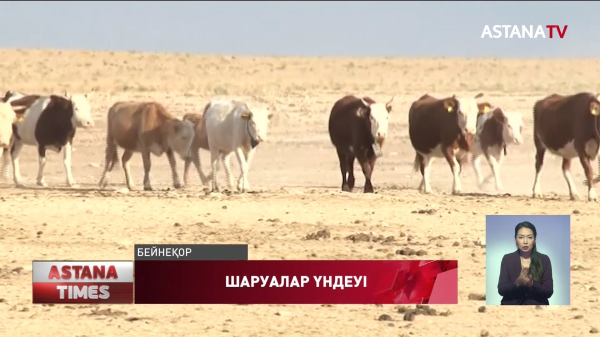 Шаруалар жемнің бағасын 50 тг түсіруді талап етіп, үндеу жолдады