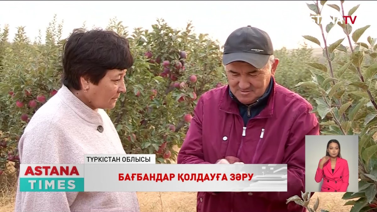 Түркістан облысының кәсіпкерлері қолдау сұрайды