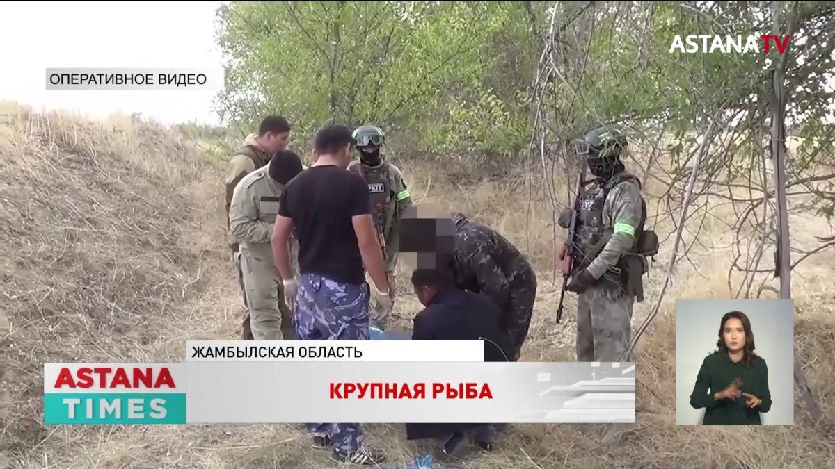 Жителя Шу задержали с 38 килограммами наркотиков