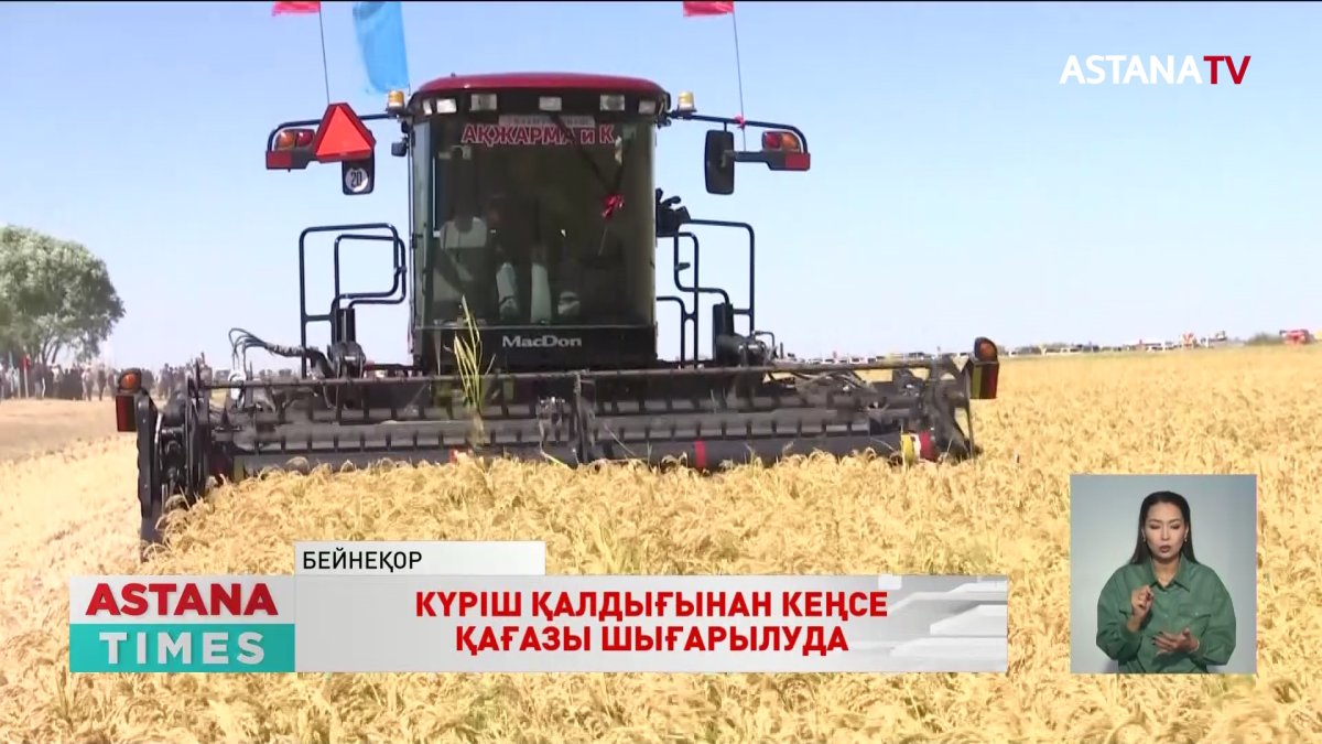 Қызылордалық студенттер күріш қалдығынан қағаз шығаруда