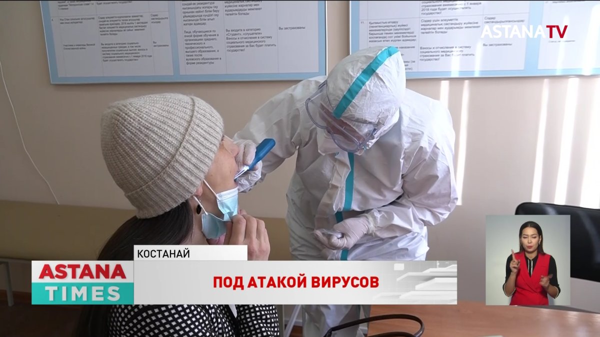 Свиной грипп и коронавирус распространяются в Казахстане