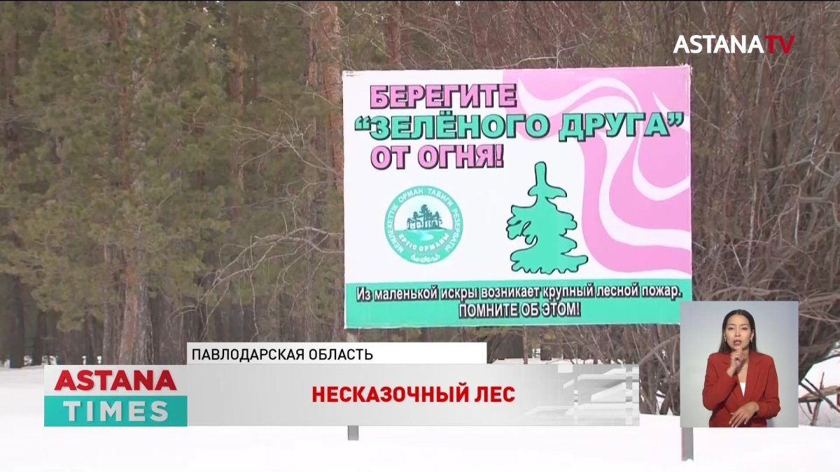 Лес почти на 5 миллионов тенге незаконно вырубили в природном резервате «Eртiс орманы»