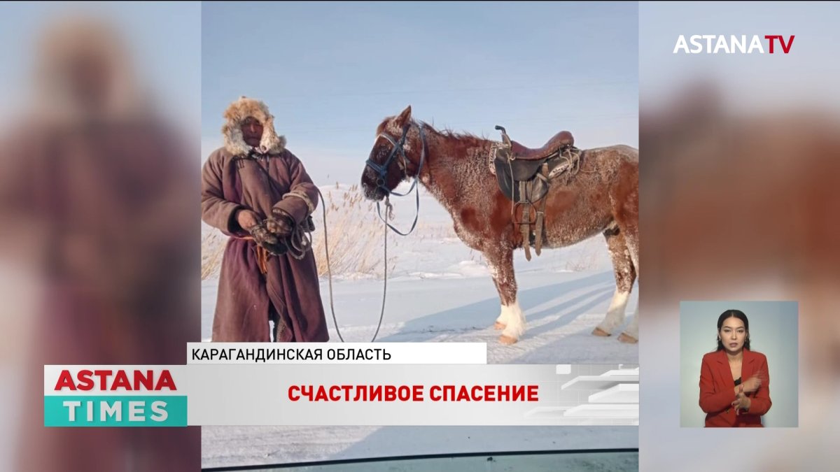 Карагандинский чабан остался жив после холодной ночи в степи