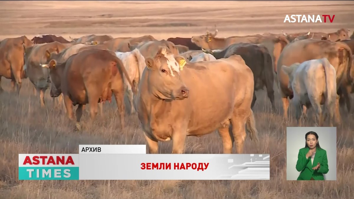 Около 1 миллиона 300 тысяч гектаров сельхозземель удалось вернуть в Карагандинской области