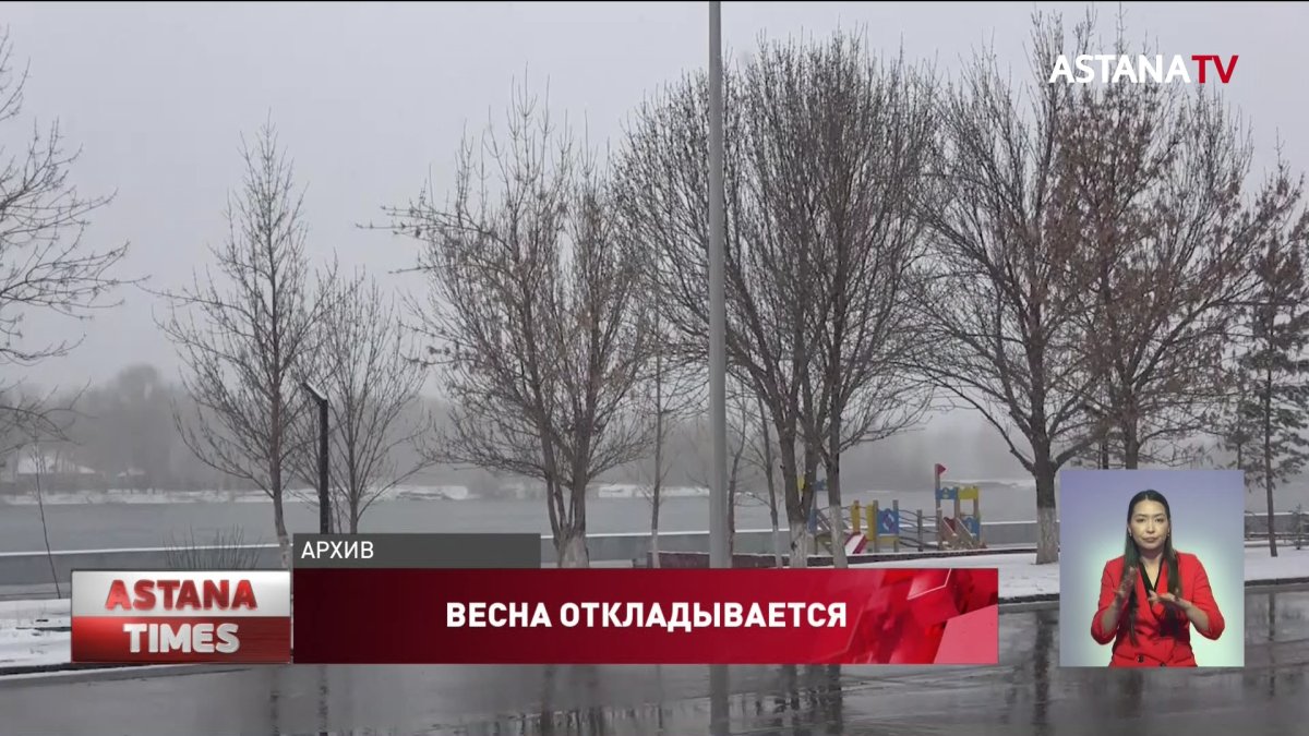 Снегопады и метели придут в Казахстан в выходные