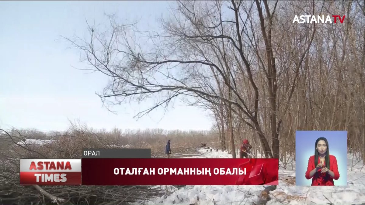 Оралда орман отағандар азаяр емес