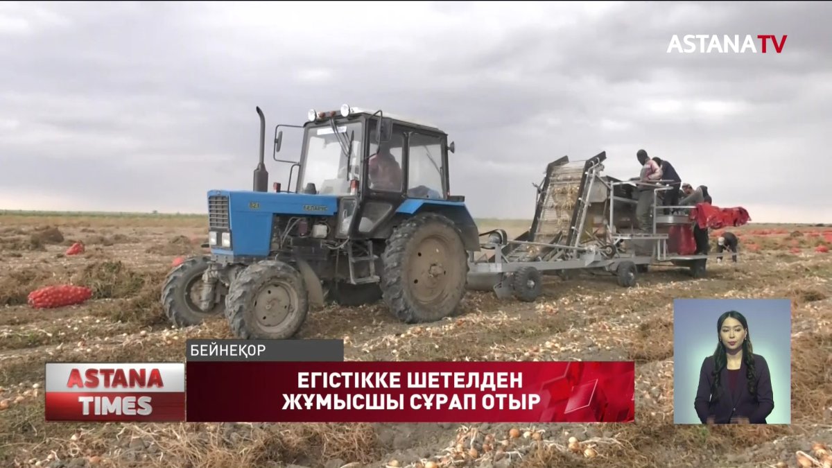 Атыраудағы егіс алқабына жұмыс күші жетіспейді