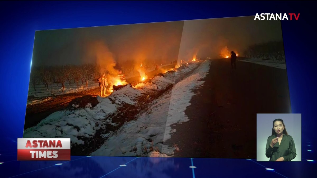 Фермеры Шымкента жгут костры ночами, чтобы спасти плодовые деревья