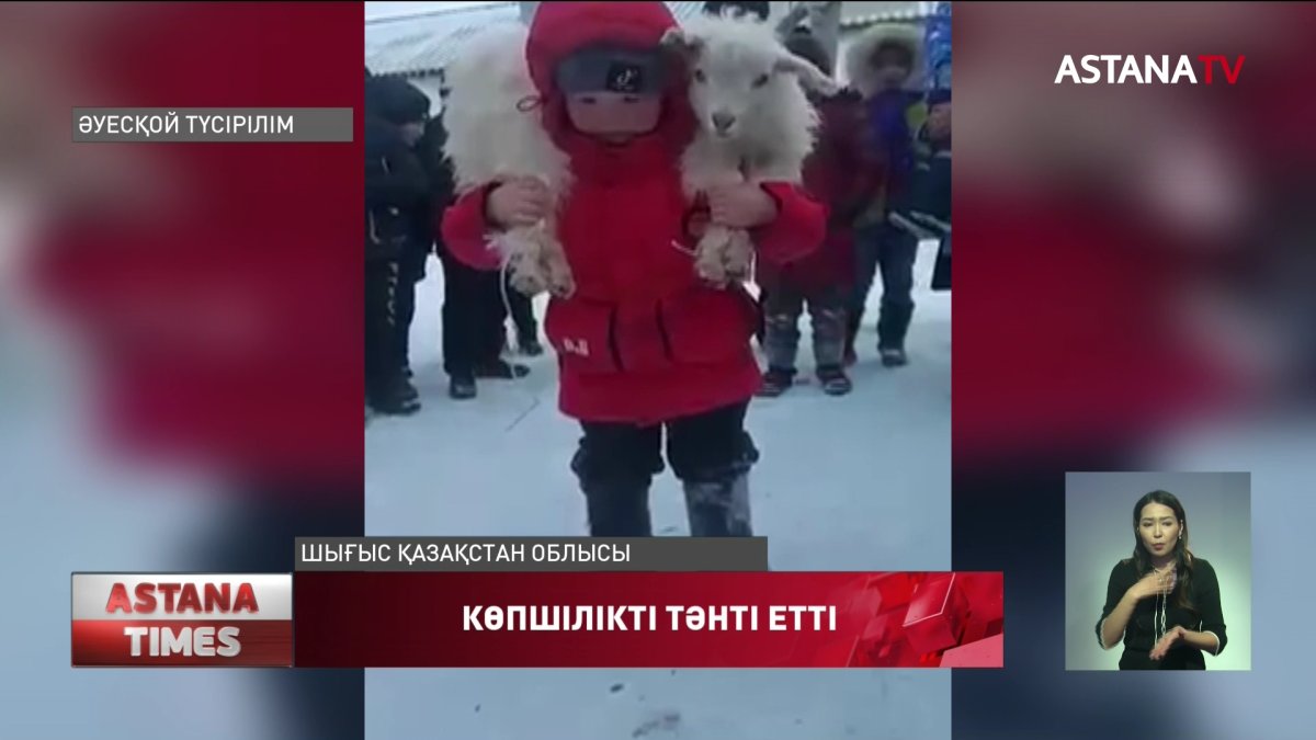 Лақты 33 рет көтерген бала көпшілікті тәнті етті