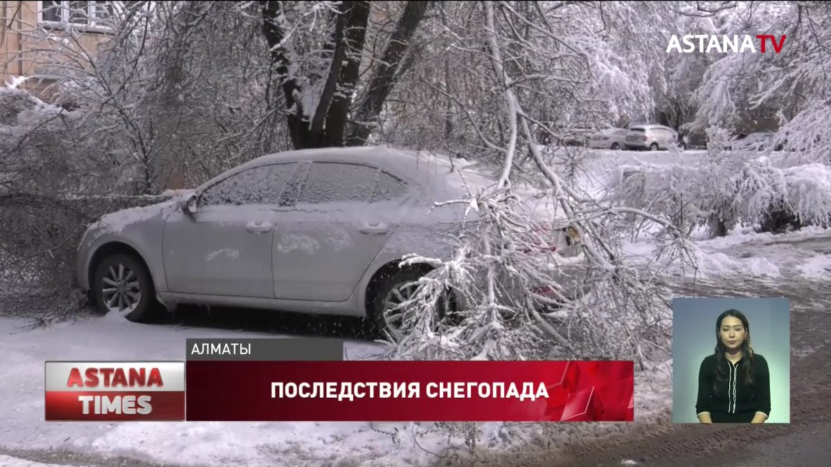 Снегопад в Алматы: упавшие деревья повредили 44 авто - Телеканал «Астана»