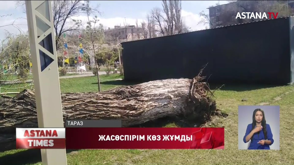 Таразда анасымен аялдамада тұрған баланың үстіне тал құлап, көз жұмды