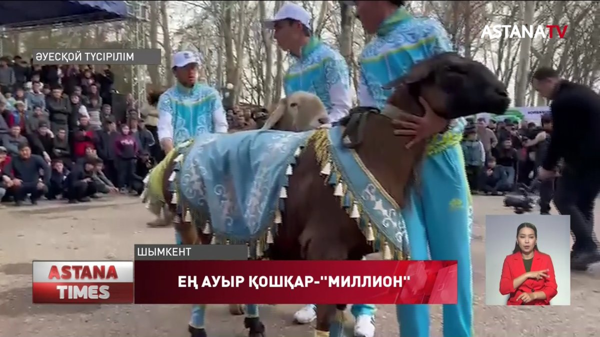 Түркістан облысында ең ауыр салмақтағы қой иесі 10 АҚШ долларын жеңіп алды
