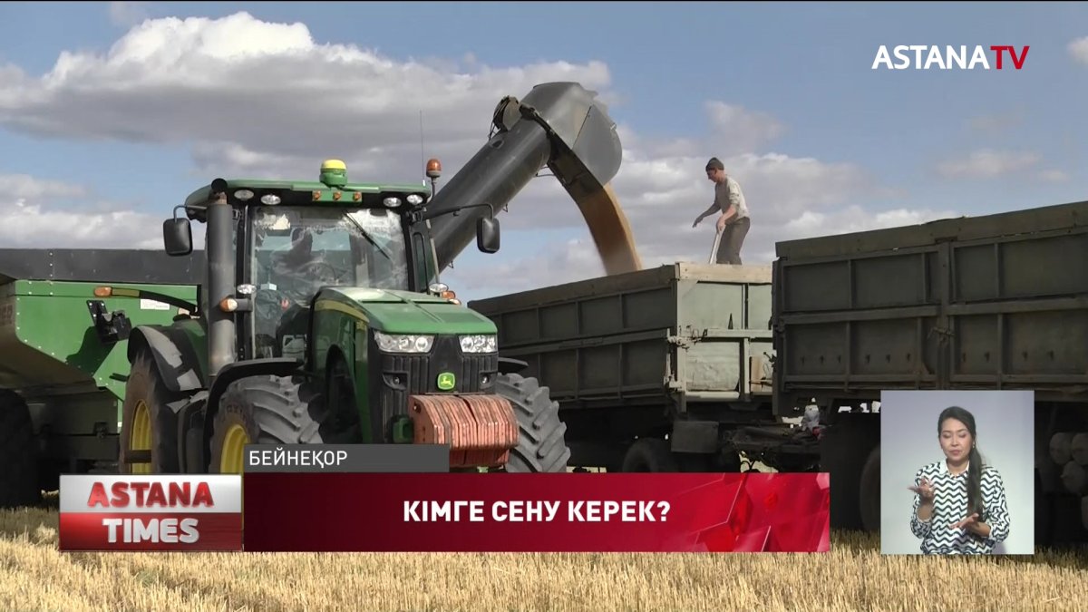 "Астық тапшылығын болдырмау үшін шаруаларға барынша қаржы бөлу қажет", - экономист