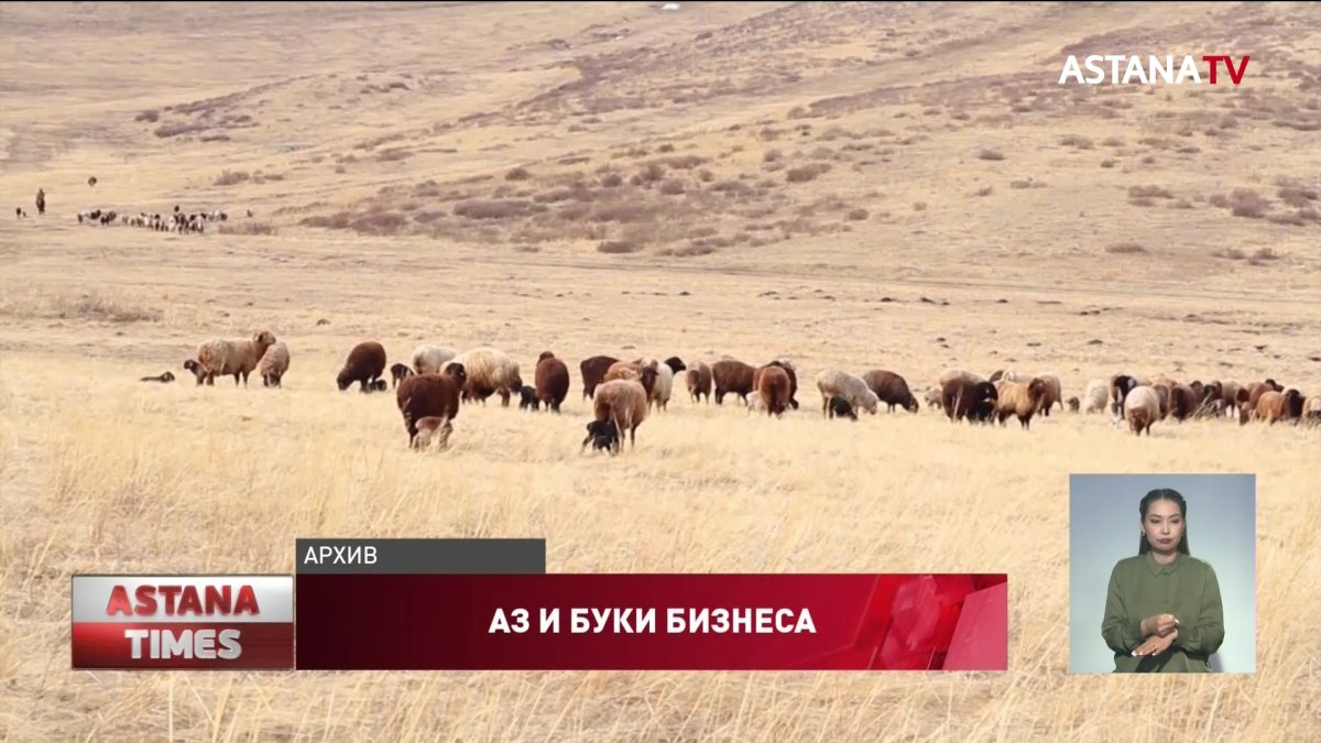 Директора мангистауской школы оштрафовали за бизнес по разведению овец и коз