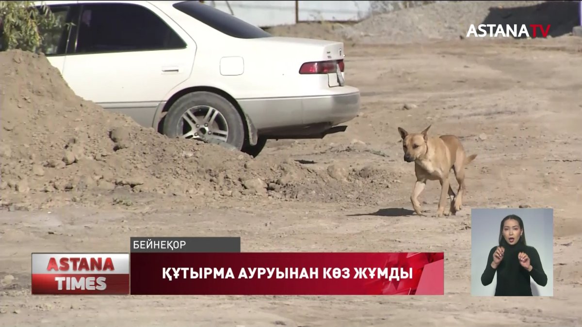 Түркістан облысында жасөспірім құтырма дертінен  көз жұмды