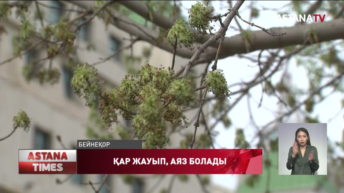 Кейбір өңірлерде қар жауады