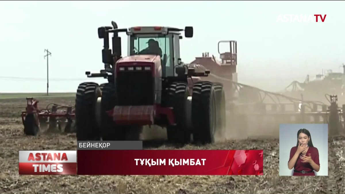 Қостанайлық диқандар Ресейден алған астық тұқымын елге жеткізе алмай отыр