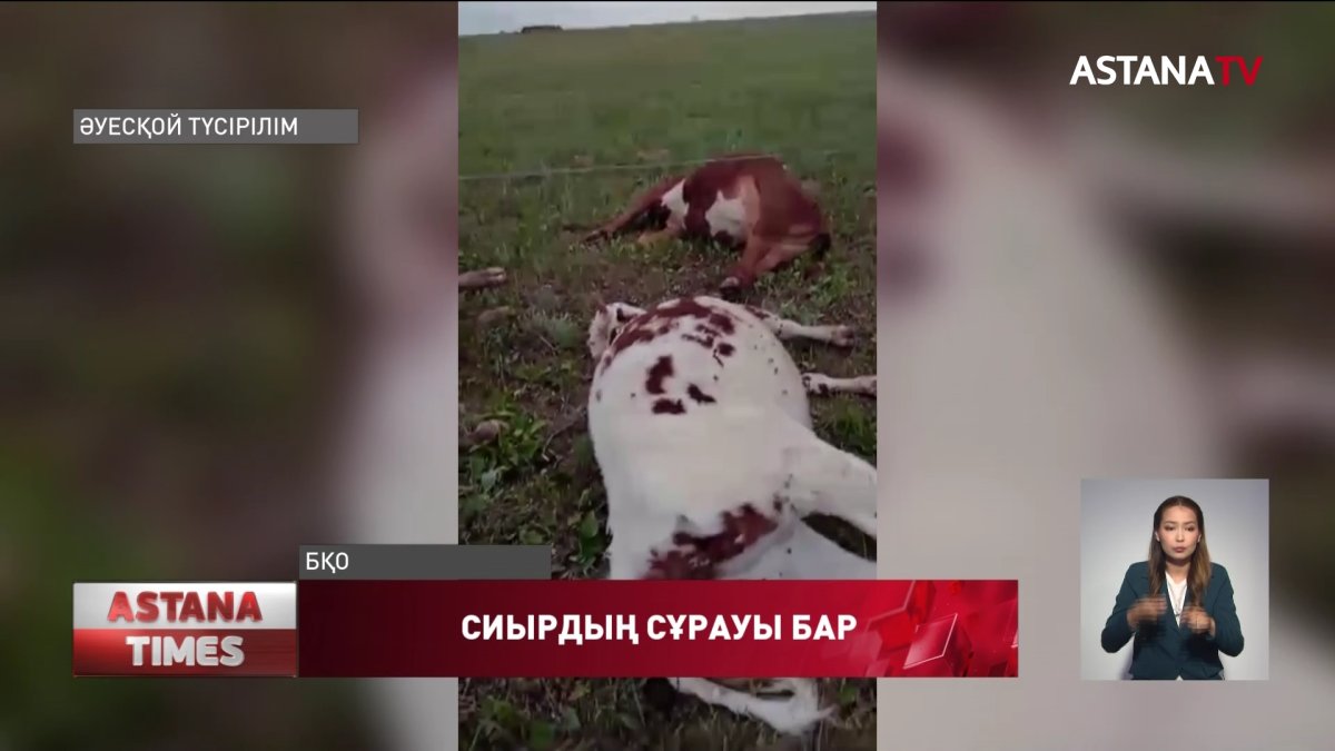 "Малына ие болсын!"