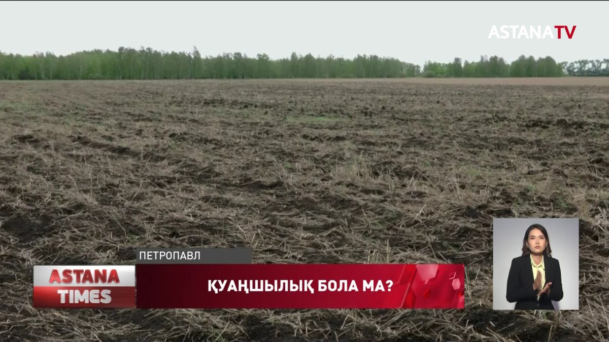 Теріскейліктер жауынның аздығынан егін көлемін азайтуға мәжбүр