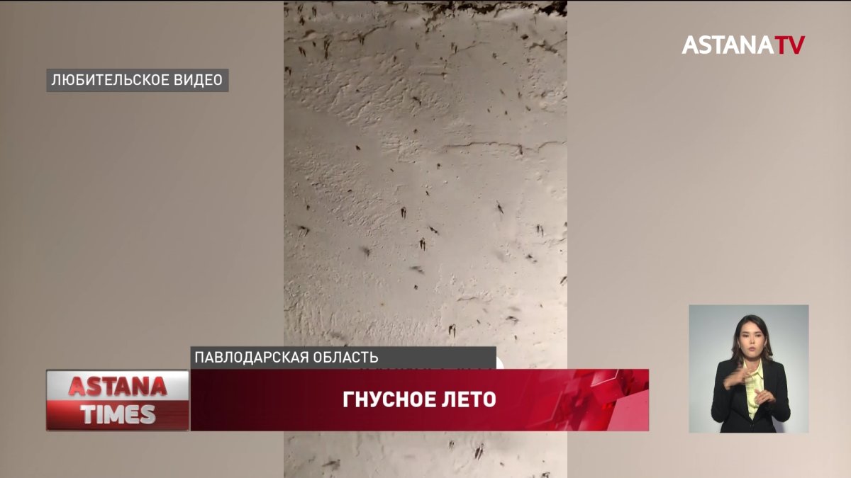Нашествие комаров: павлодарцы взялись за самодельные огнемёты