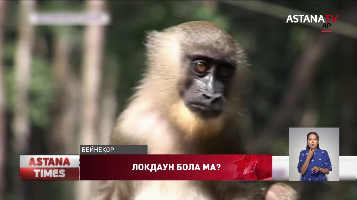 Шәует туралы диалог