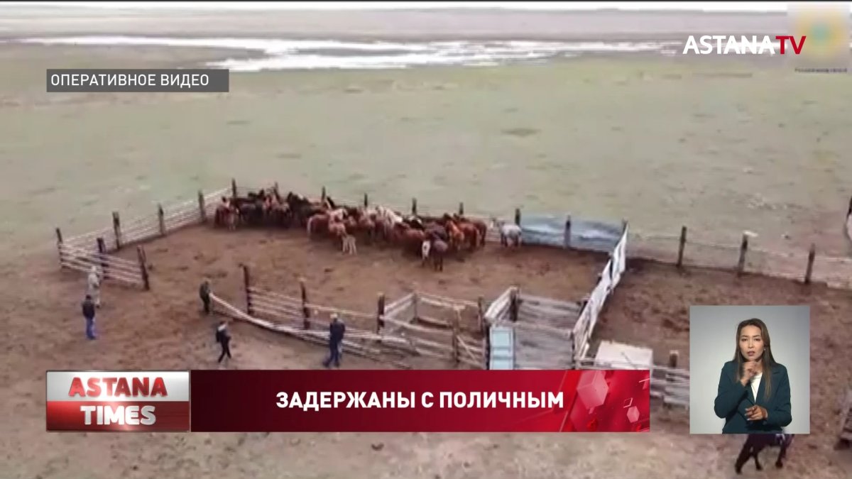 Задержана банда скотокрадов