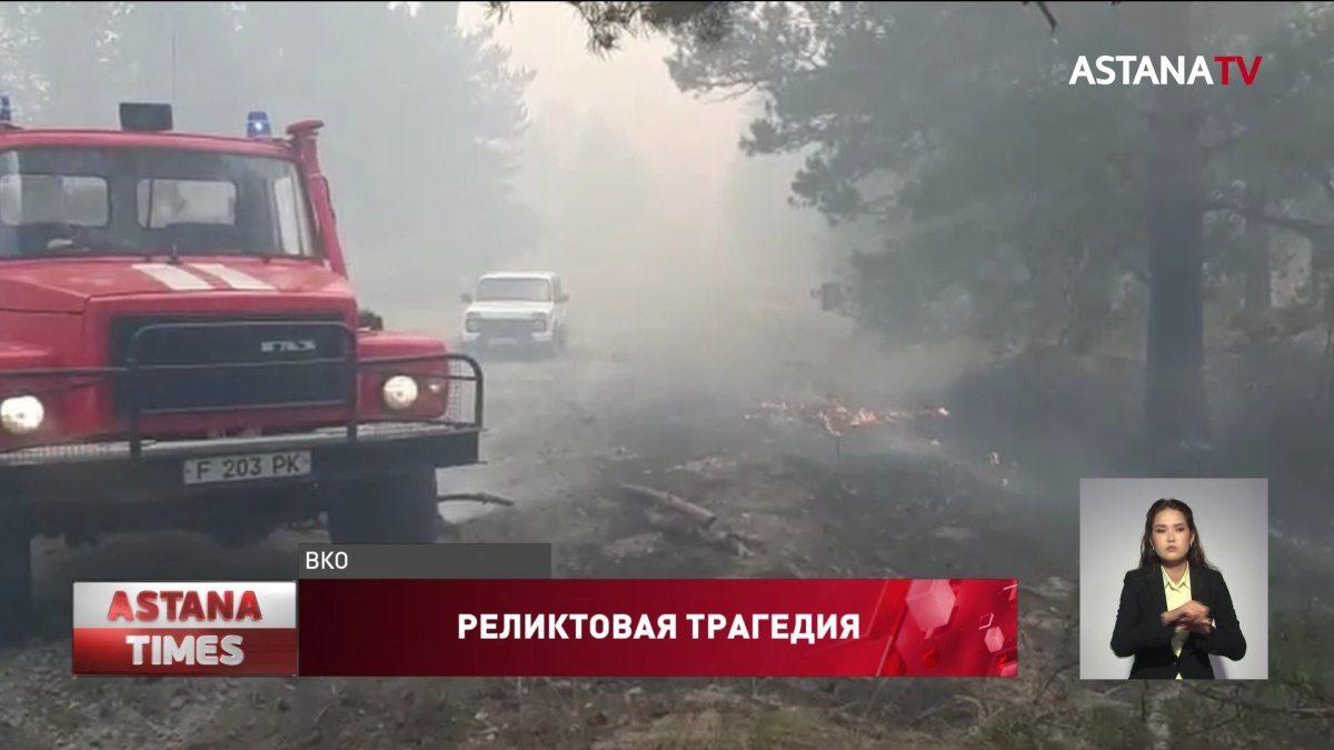 Все силы пожарных брошены на тушение реликтового бора в «Семей орманы»