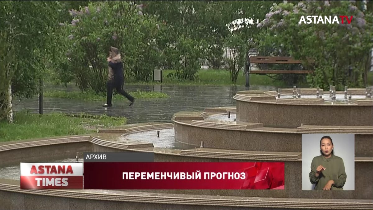 Дождливую погоду в выходные дни обещают синоптики