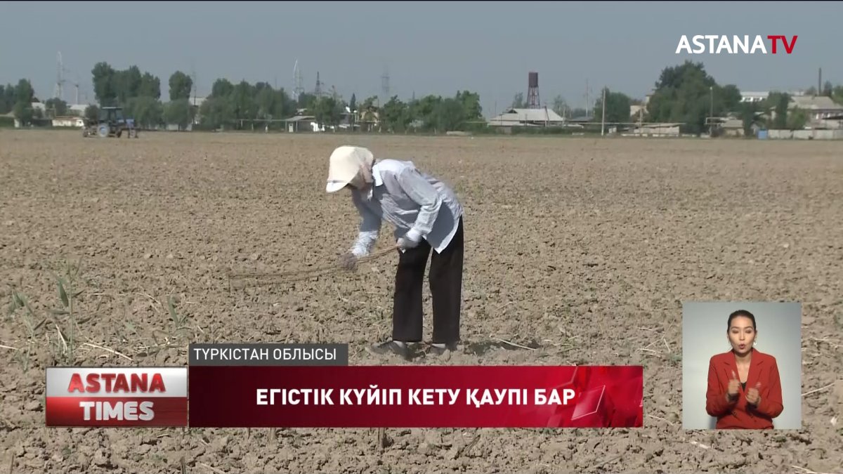 Түркістан облысында 126 мың гектар егістік күйіп кету қаупі бар
