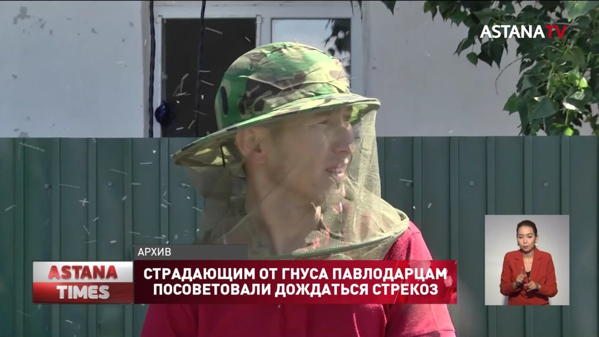 Страдающим от гнуса павлодарцам посоветовали дождаться стрекоз