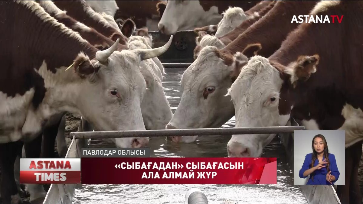 «Сыбағадан» сыбағасын ала алмай жүр