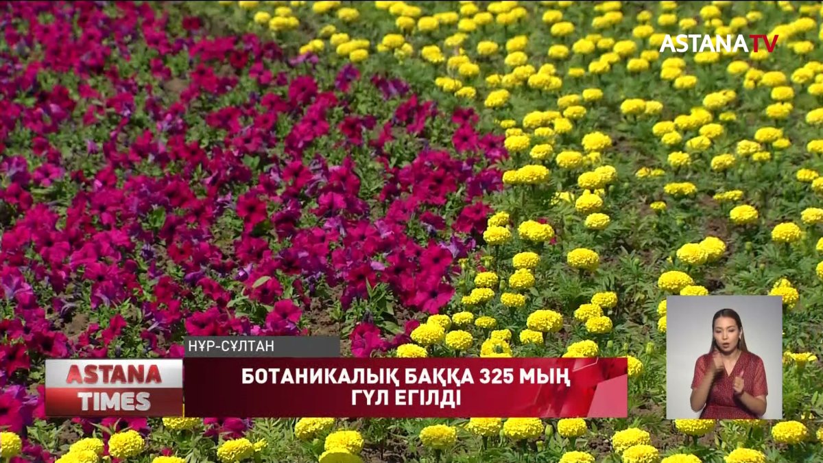 Ботаникалық баққа 325 мың гүл егілді