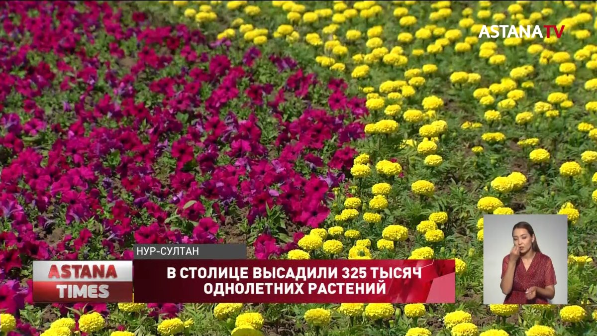 В столичном ботаническом саду высадили 325 тысяч однолетних растений
