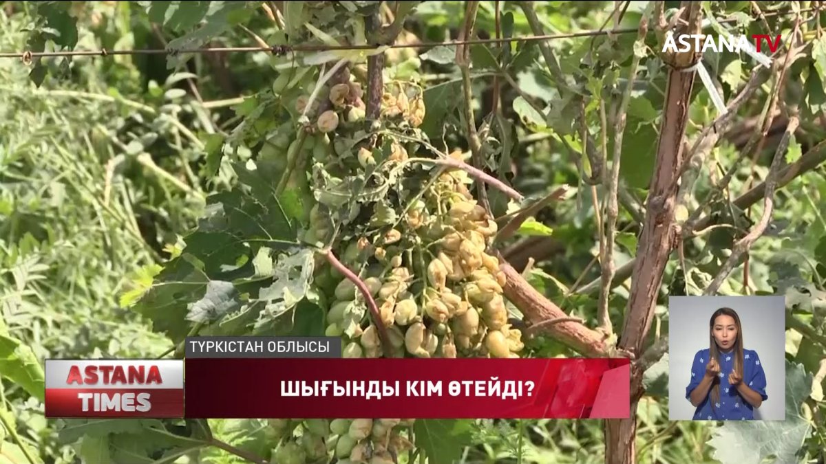 Шығынды кім өтейді?