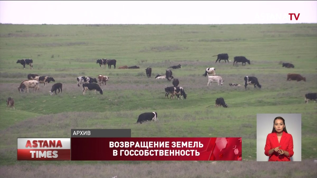 Возвращение земель в госсобственность: "AMANAT" даёт результаты