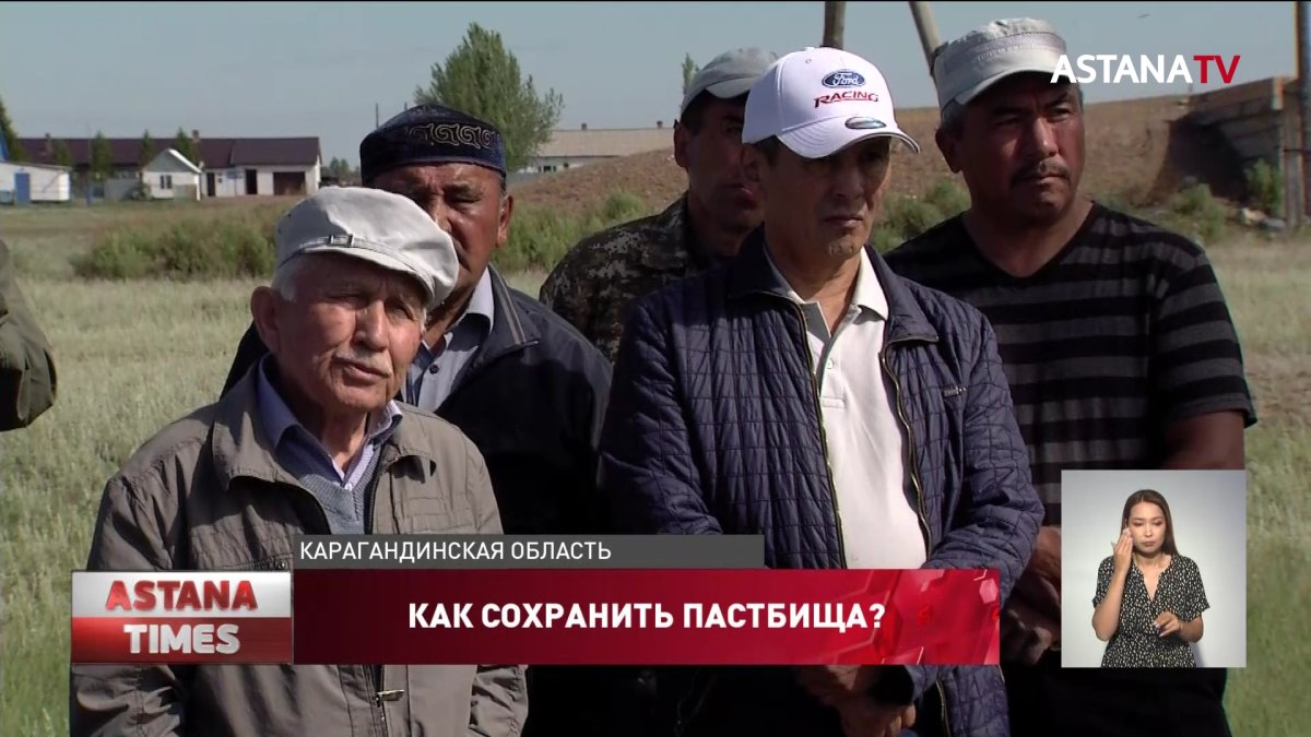 Сотни тысяч гектаров земли не хватает сельчанам для выпаса скота