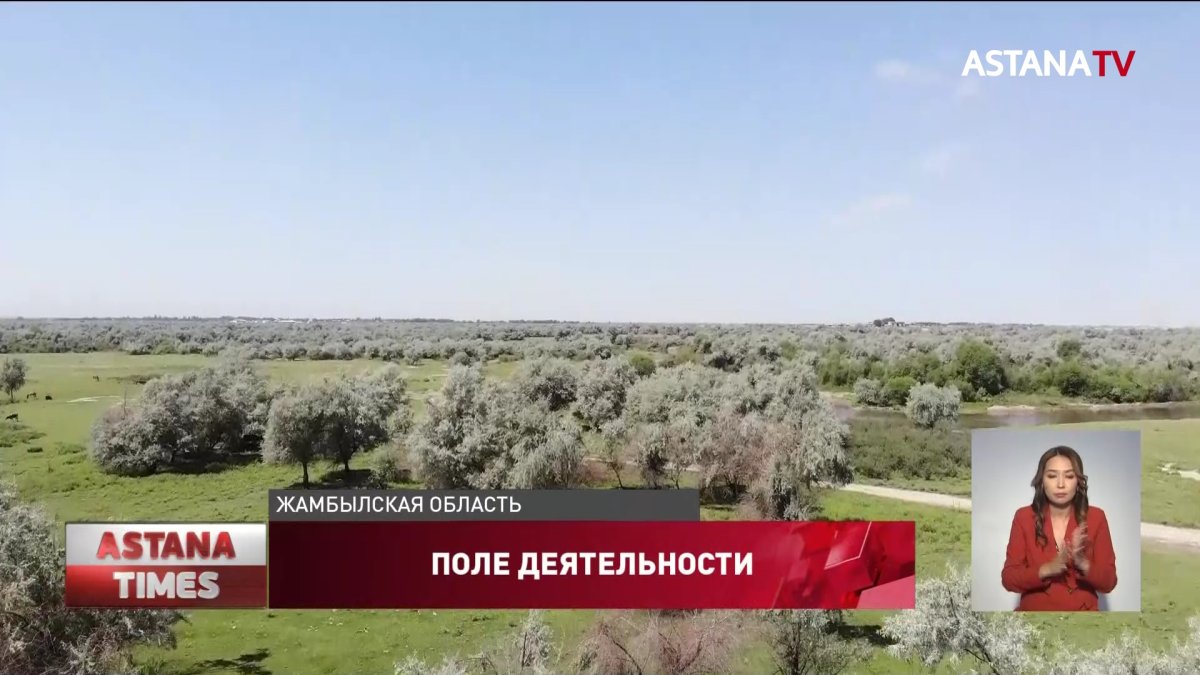 Проблему нехватки пастбищ Эльдар Жумагазиев обсудил с сельчанами Жамбылской области