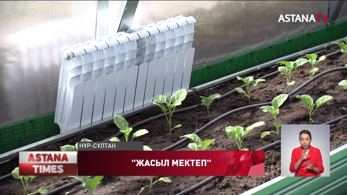 «Жасыл мектеп» жобасы аясында жылыжай ашылды