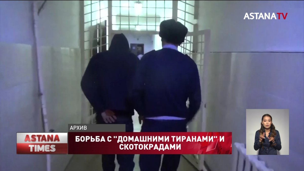 В МВД рассказали, как решить проблему с "домашними тиранами" и скотокрадами