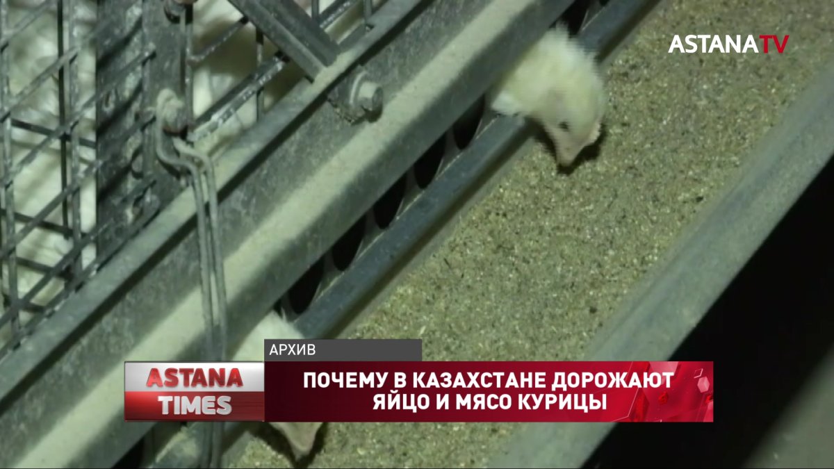 Подорожали на треть: почему в Казахстане растут цены на яйцо и мясо курицы