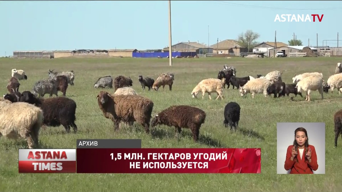 Почти 1,5 млн. га сельхозземель не используются по назначению в ЗКО