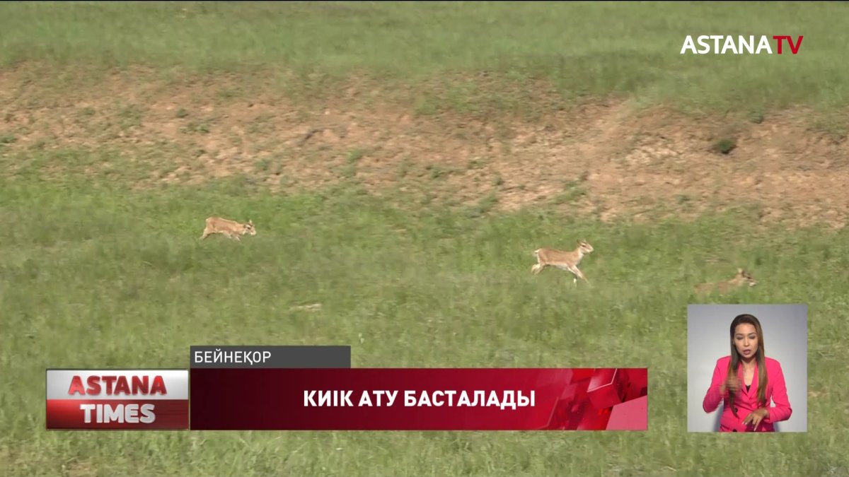 Киік ату қыркүйектің 15-інде басталады