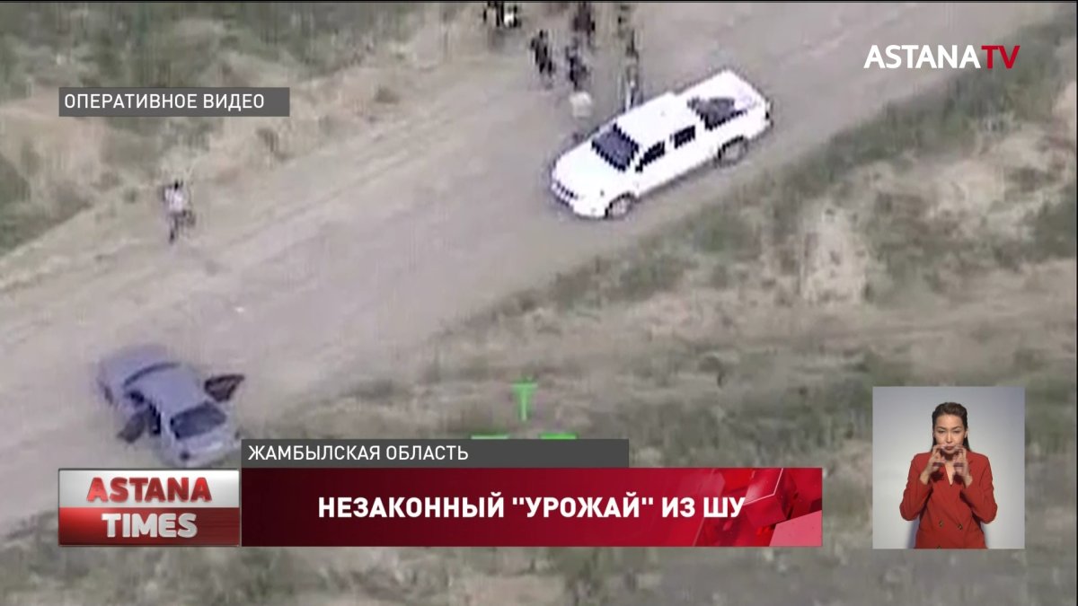 Ликвидирован канал поставки наркотиков из Жамбылской области