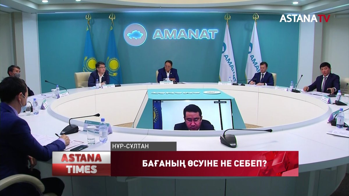 «Үкімет нарықтық экономикамен өзін ақтауға тырысуда», - партия