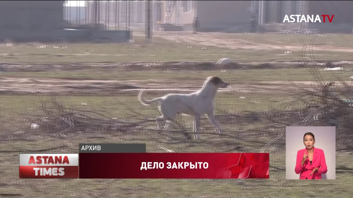 За гибель актюбинского школьника от укусов животных никто не ответит