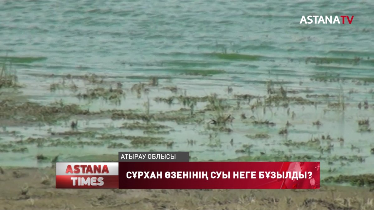 Сұрхан өзенінің белгілі бір аумағы жап-жасыл боп, жағымсыз иіс шығуда