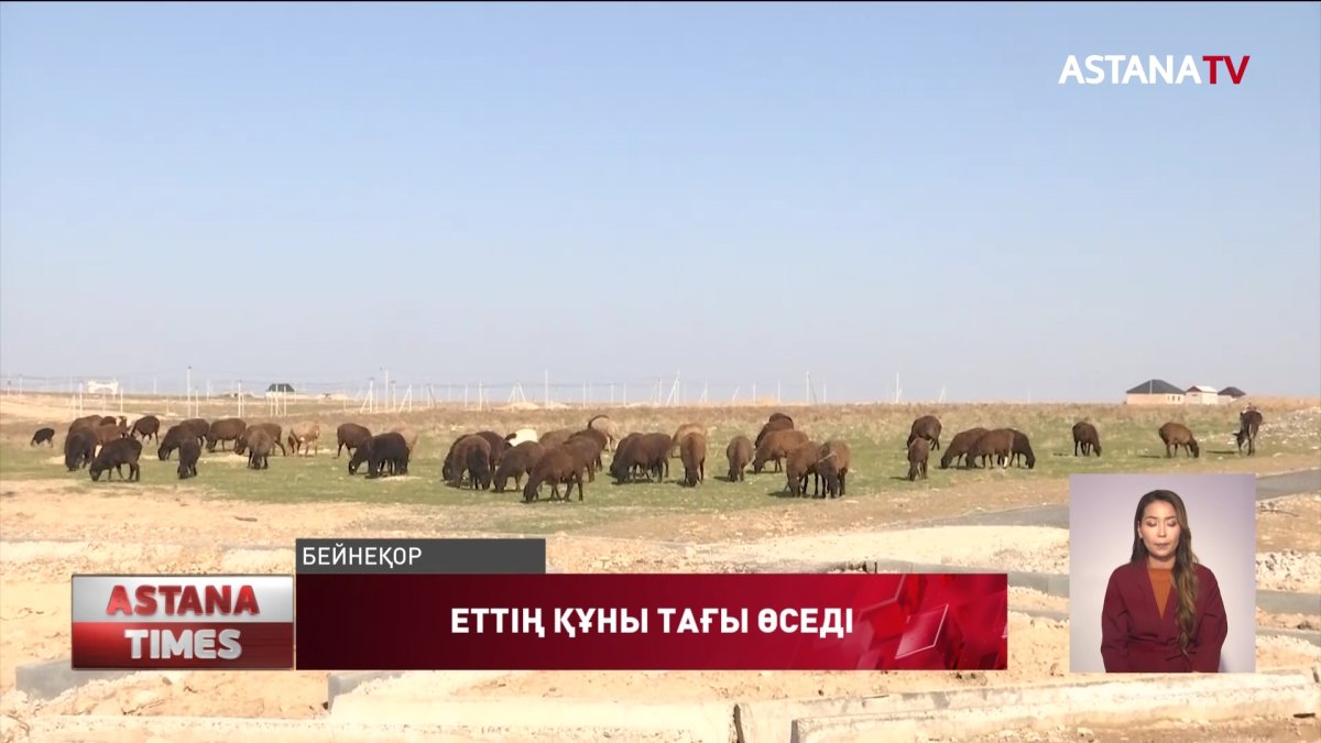 Малға азық болатын жем сатып алуға 20 млрд теңге бөлінген