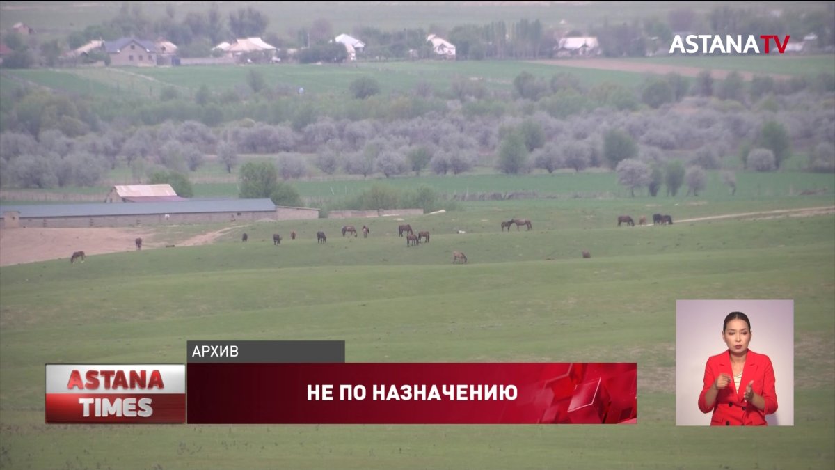 Десятую часть угодий целого района незаконно присвоила компания в Жамбылской области